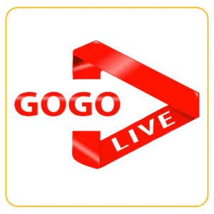 Gogo iptv abonnement 12 mois