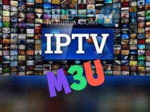 iptv player m3u playlist 12 Mois