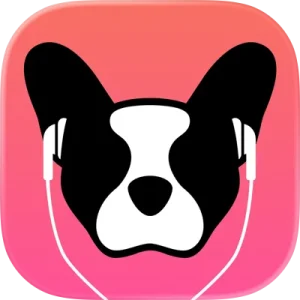 Logo LillyPlayer IPTV – Abonnement IPTV 12 mois en France